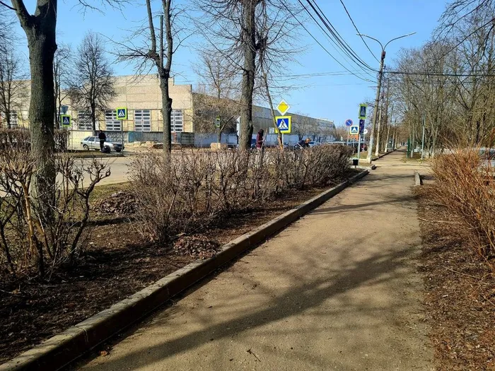 photo_2026-04-01_11-04-49