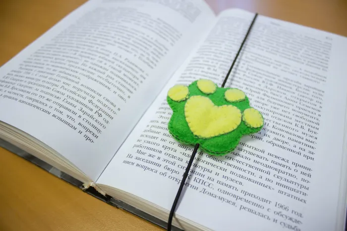 изображение_2022-02-15_161400