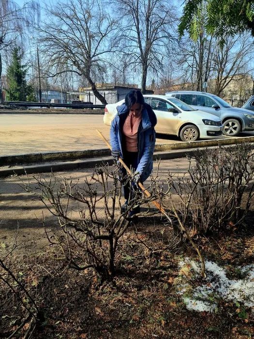 photo_2026-04-01_11-04-43