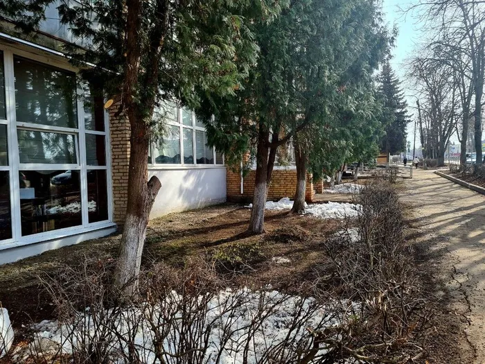 photo_2026-04-01_11-04-50