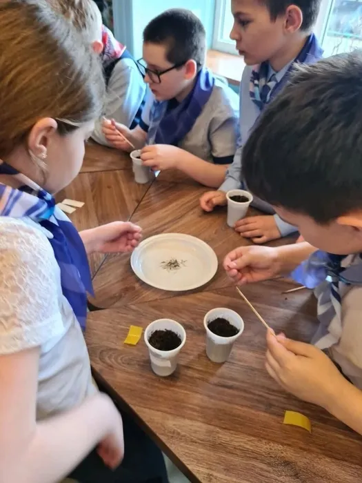 Rud-7nW_iT0qz9pX8roA_IY2xOQQAvB0mSK9K8NNAPN-MohIoSI31hVrB6UYwuzr93L3LYHaS6gvDZ-sXKILhVRD