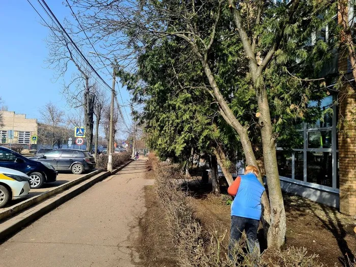 photo_2026-04-01_11-04-54