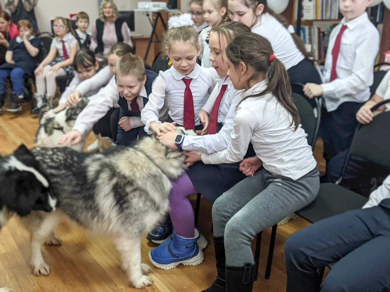 IMG_20220121_143713660.PORTRAIT